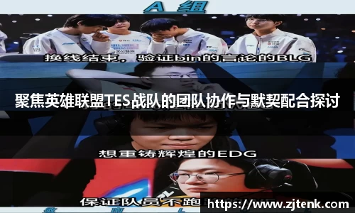 聚焦英雄联盟TES战队的团队协作与默契配合探讨